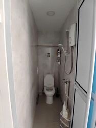 The Sunny Spring (D14), Apartment #572946741